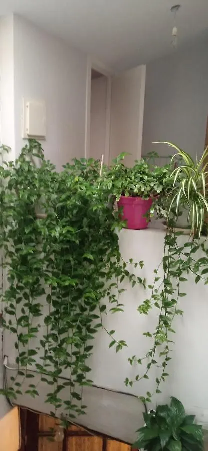 Apartamento ático La Guardia